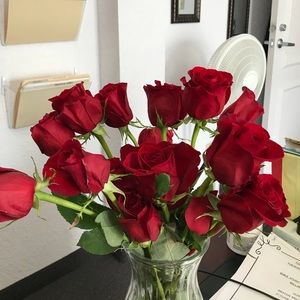 Meet your Posher, Stacey